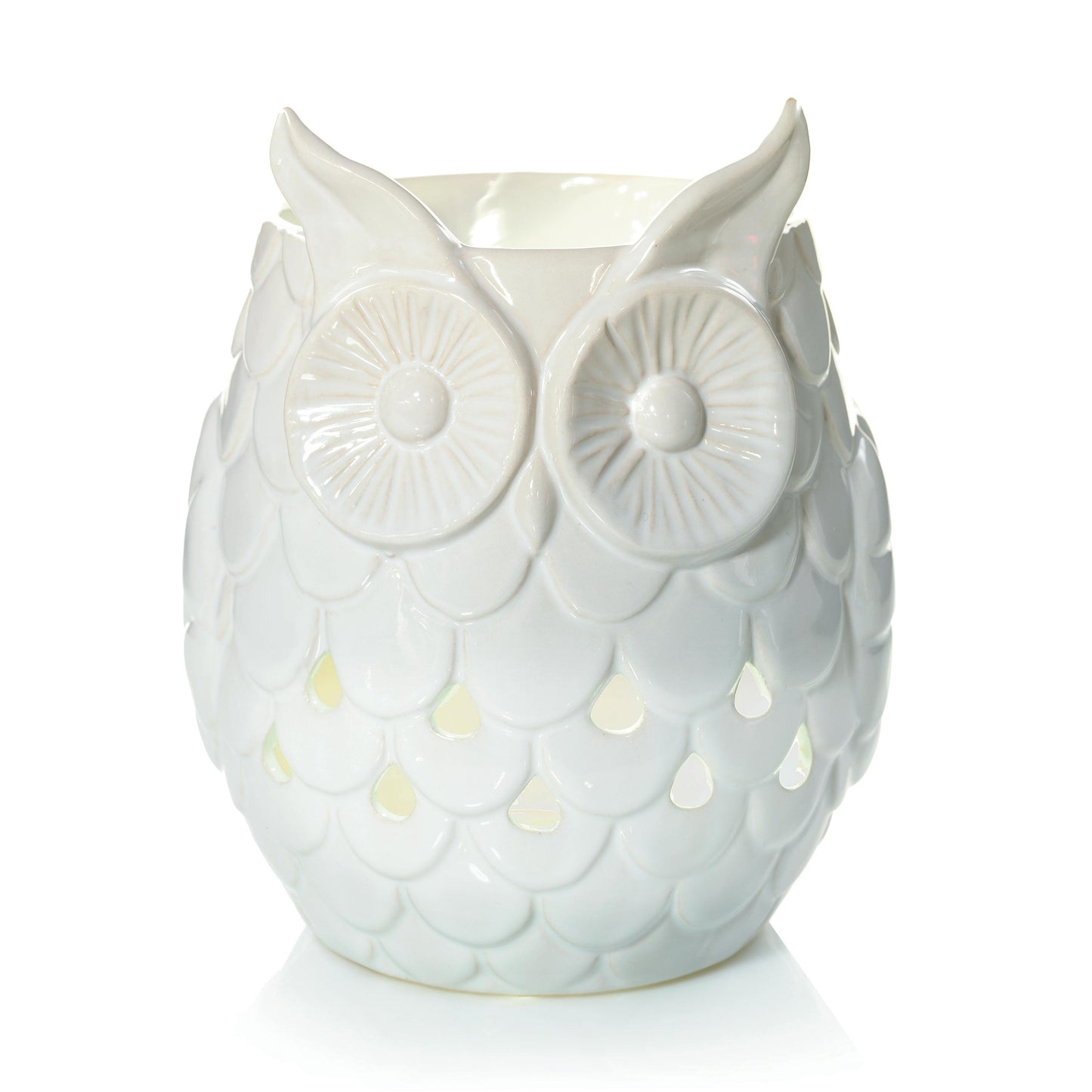 Owl (S1PWA)