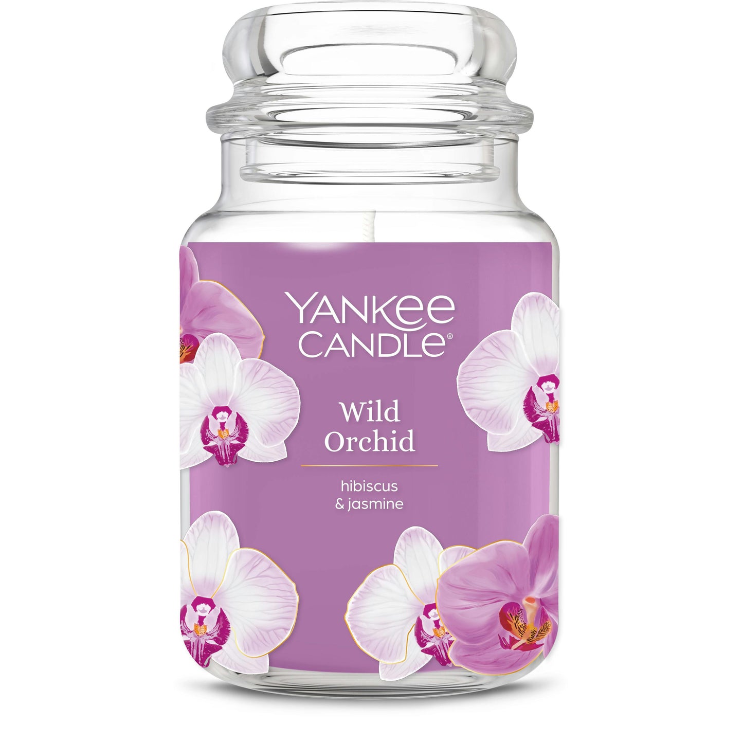 Wild Orchid | Modern Pick