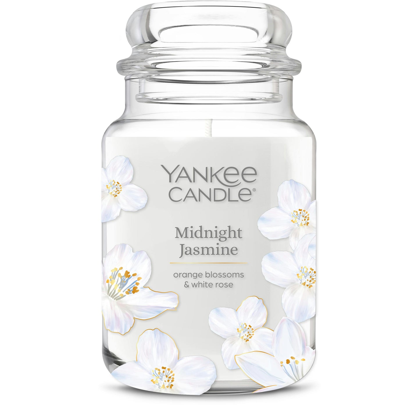 Midnight Jasmine (S1VYJ)
