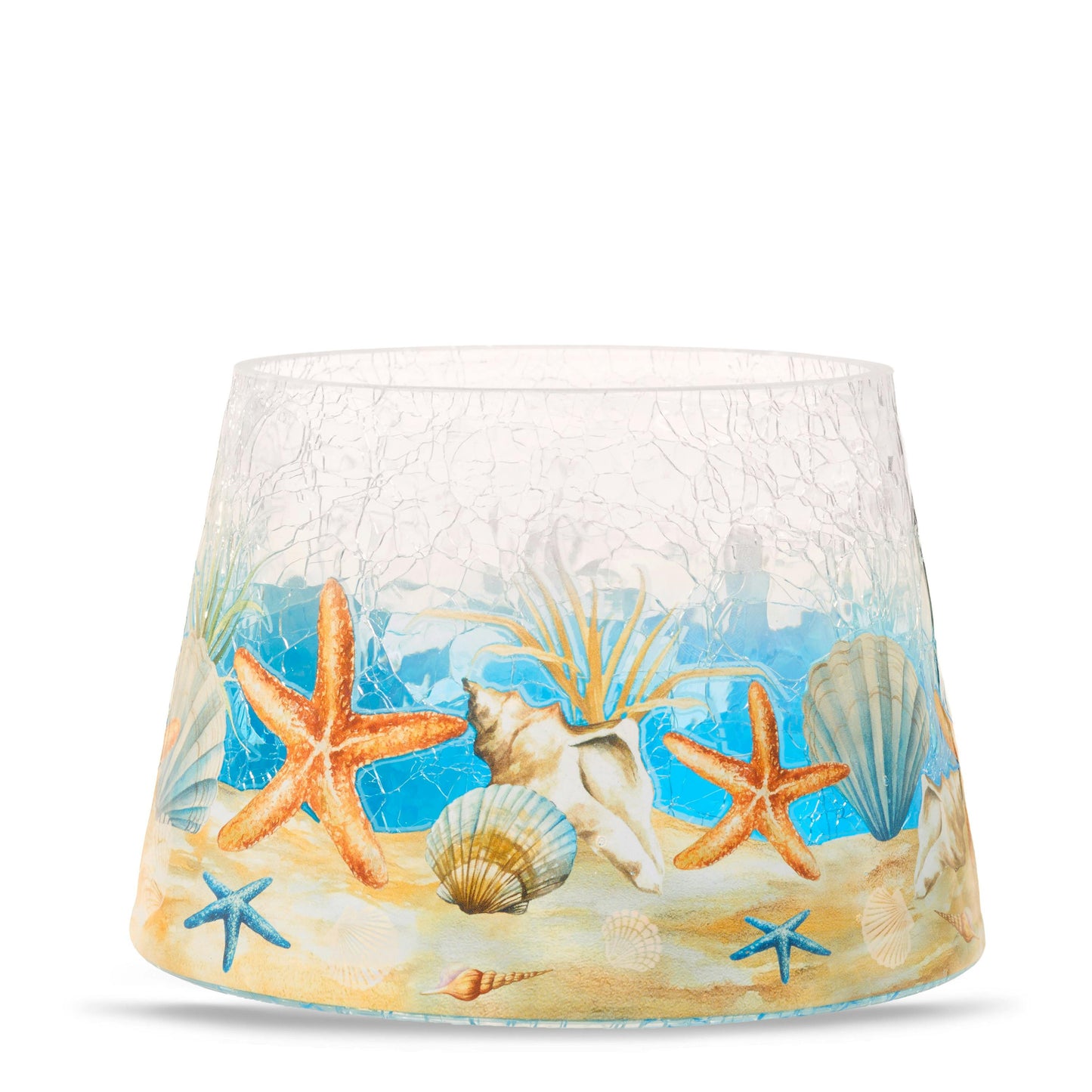Seashell Jar Shade | Clean Series