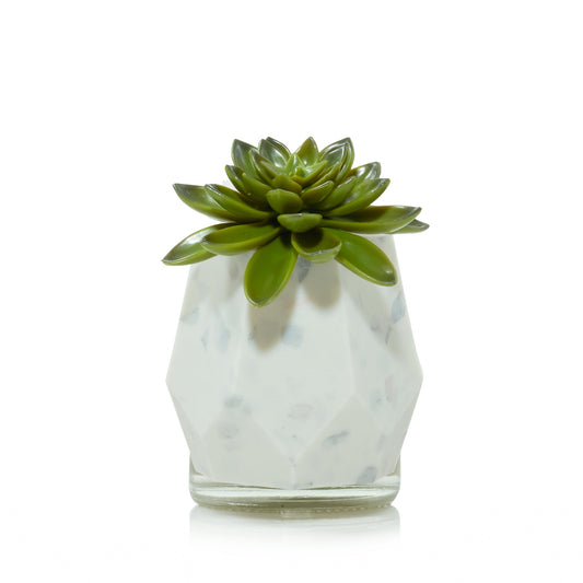 Faceted Succulent ScentPlug® Diffuser with Light | Core Style