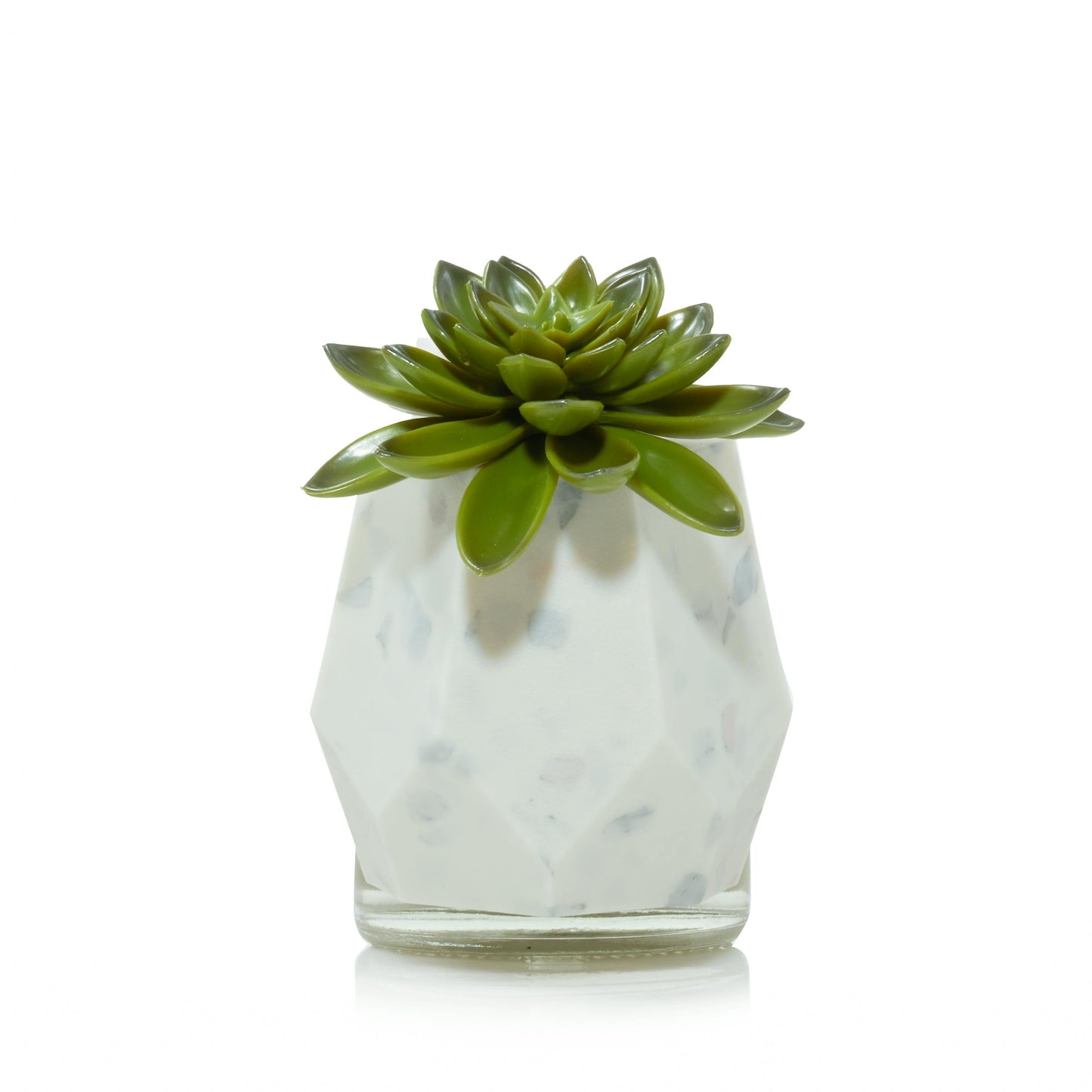 Faceted Succulent ScentPlug® Diffuser with Light (S179D)